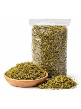 Moss Green Decorative Moss 6.5 oz 250g